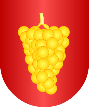 ESCUDO SIGUIENTE